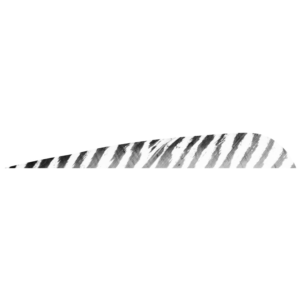 Gateway Gateway Barred Feathers White 5 In. Rw 50 pk. - Outdoor Gear - DropShot Archery