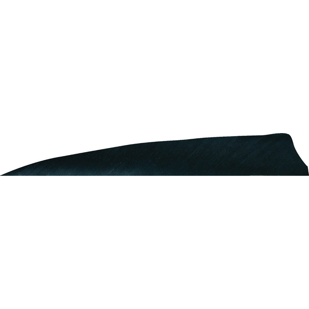 Gateway Gateway Shield Cut Feathers Black 4 In. Lw 50 pk. - Outdoor Gear - DropShot Archery
