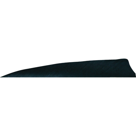 Gateway Gateway Shield Cut Feathers Black 4 In. Lw 50 pk. - Outdoor Gear - DropShot Archery