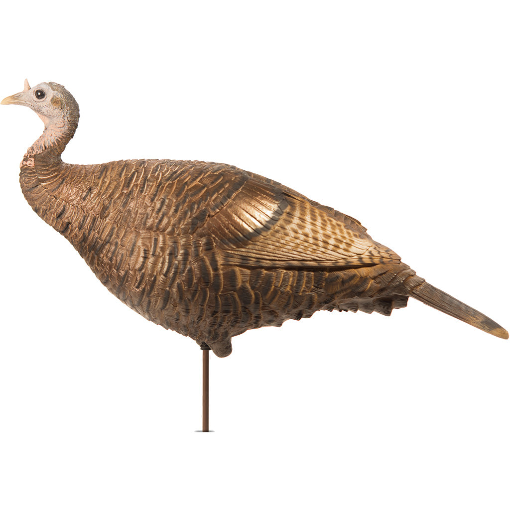 Dave Smith Decoys Dave Smith Decoys Leading Hen Decoy - Decoys - DropShot Archery